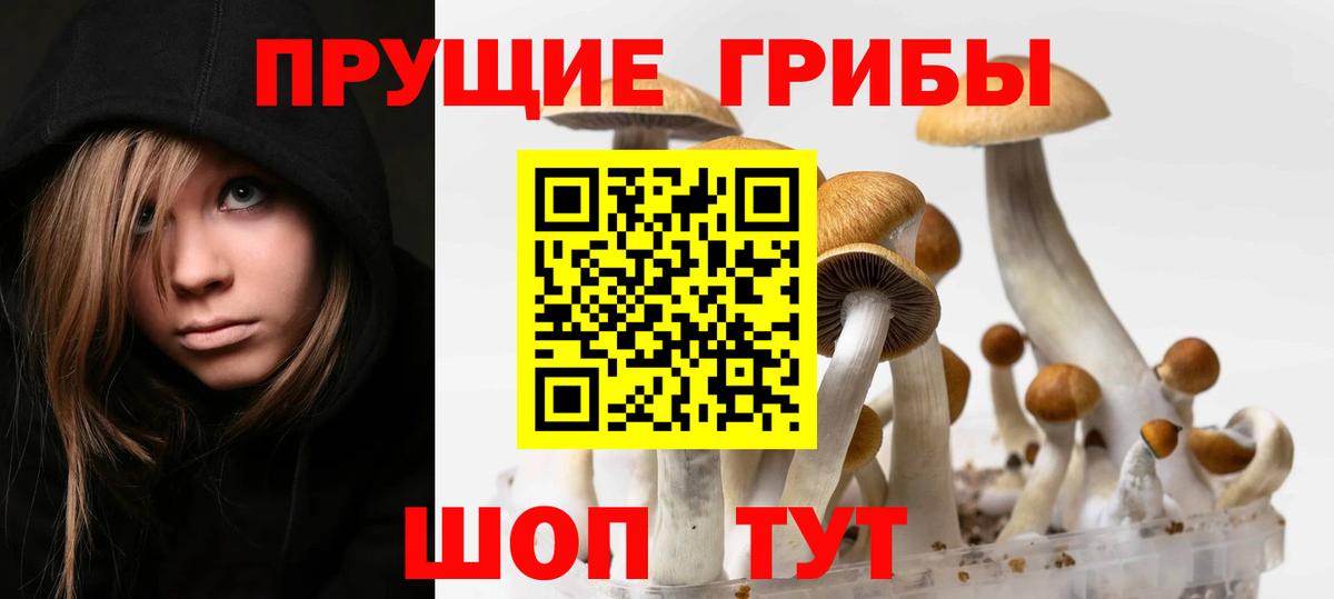 Бошки Шишки  Alpha PVP СОЛЬ   Мефедрон кристаллы  Гашиш  ЭКСТАЗИ  Ишим  Вход с VPN 